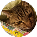 Teresa Parkerson profile picture