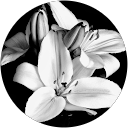 Kiara Elkin profile picture